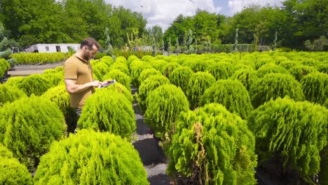 young man working in productive greenhouse.