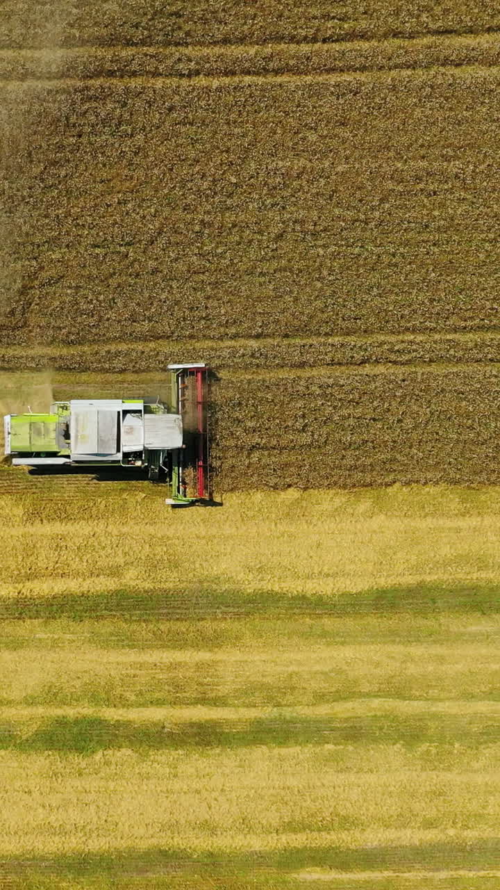 Combine harvester working on the field. Agricultural machinery collecting wheat in summer. Top aerial shoot. Vertical video