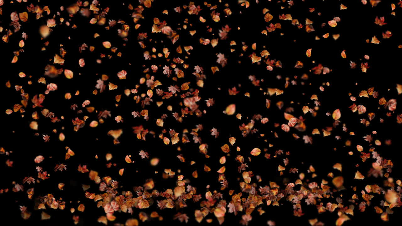 Falling Autumn Leaves on the Ground Loop