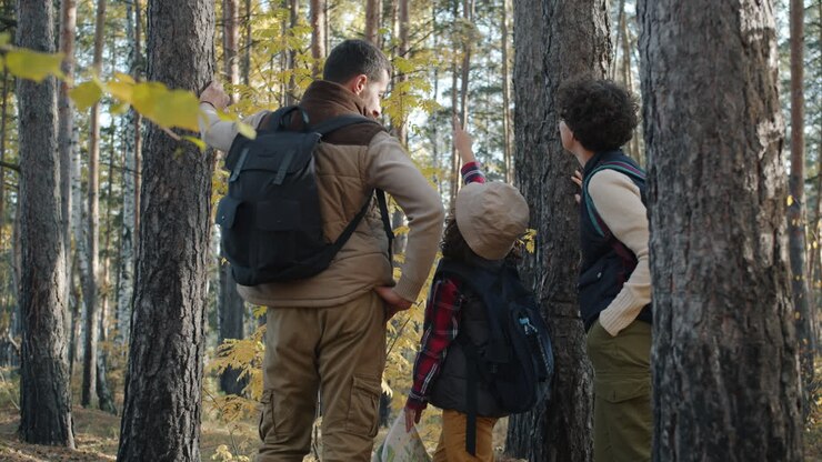 Family Hiking in Autumn Forest