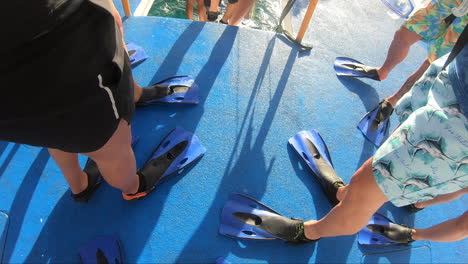 todos los turistas están listos con las aletas para hacer esnórquel y bucear en el agua | personas preparadas para nadar y bucear en agua con aletas puestas