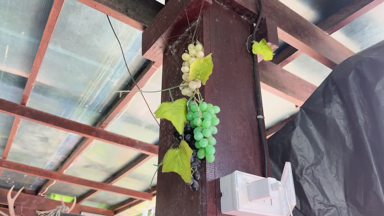 Artificial grapes hang from a wooden beam in a Phuket restaurant, under a transparent roof with natural lighting