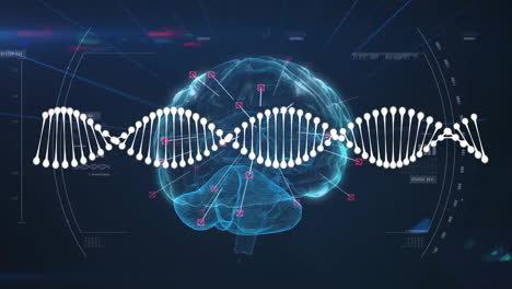 animation of data processing over human brain and dna strand on dark background