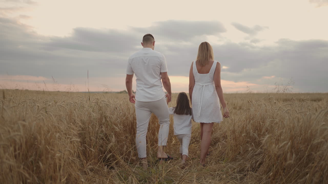 cámara lenta: familia feliz de agricultores con un hijo caminan por el campo de trigo. madre saludable padre e hija pequeña disfrutando de la naturaleza juntos al aire libre.