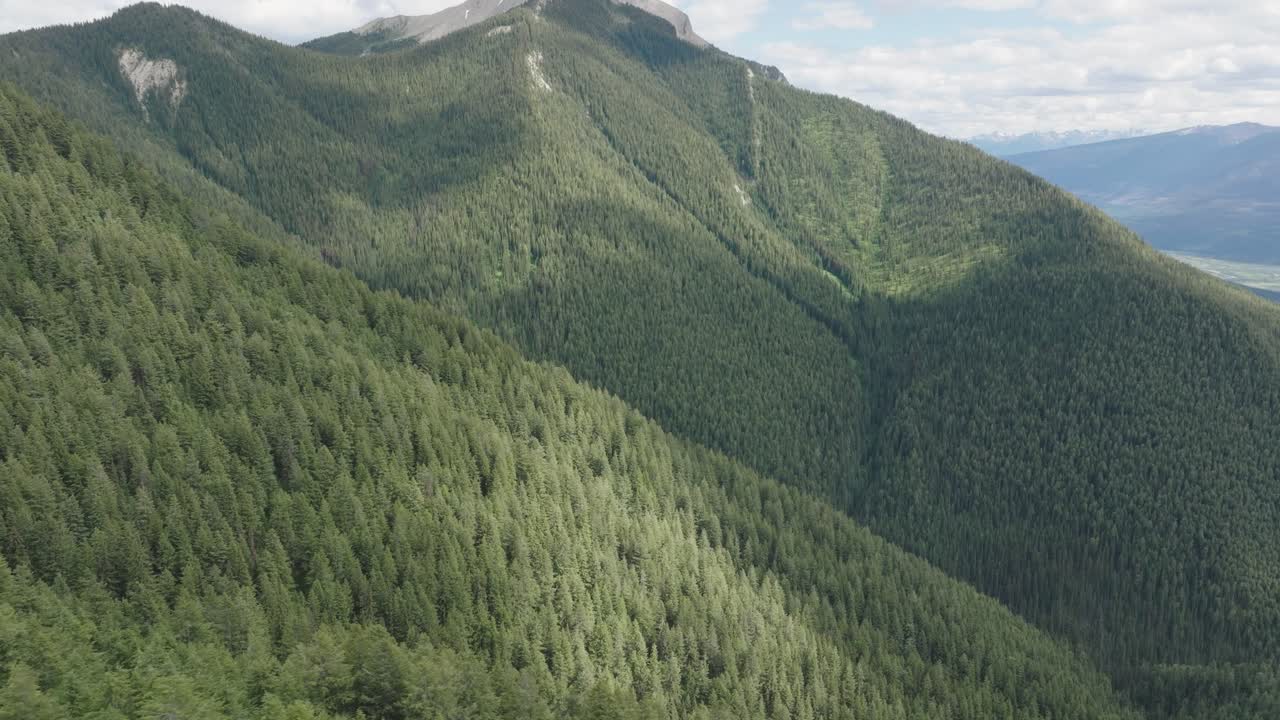 Forested Mountain Range In Summer. - aerial shot
