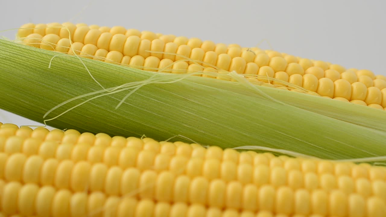Shooting of corn. Shooting in the movement