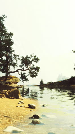 serene lakeside view with trees on a sunny day near the shore