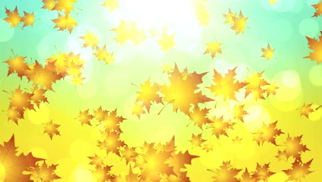 warm autumn leaves falling