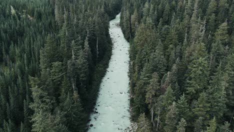 Volar-Lejos-En-El-Río-Congelado-En-Medio-Del-Bosque-De-Coníferas-En-Columbia-Británica,-Canadá