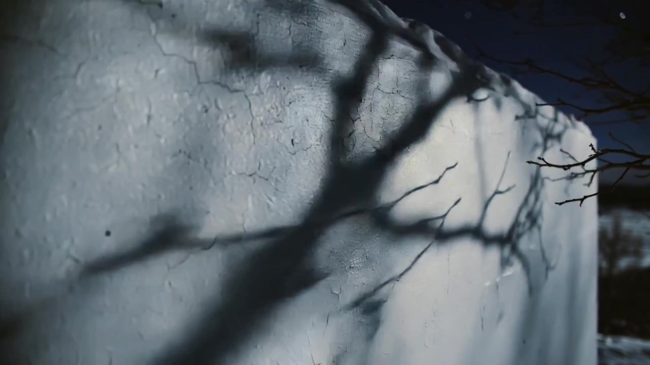 Shifting branch shadows sweeping across cracked stucco wall under low sun and light breeze