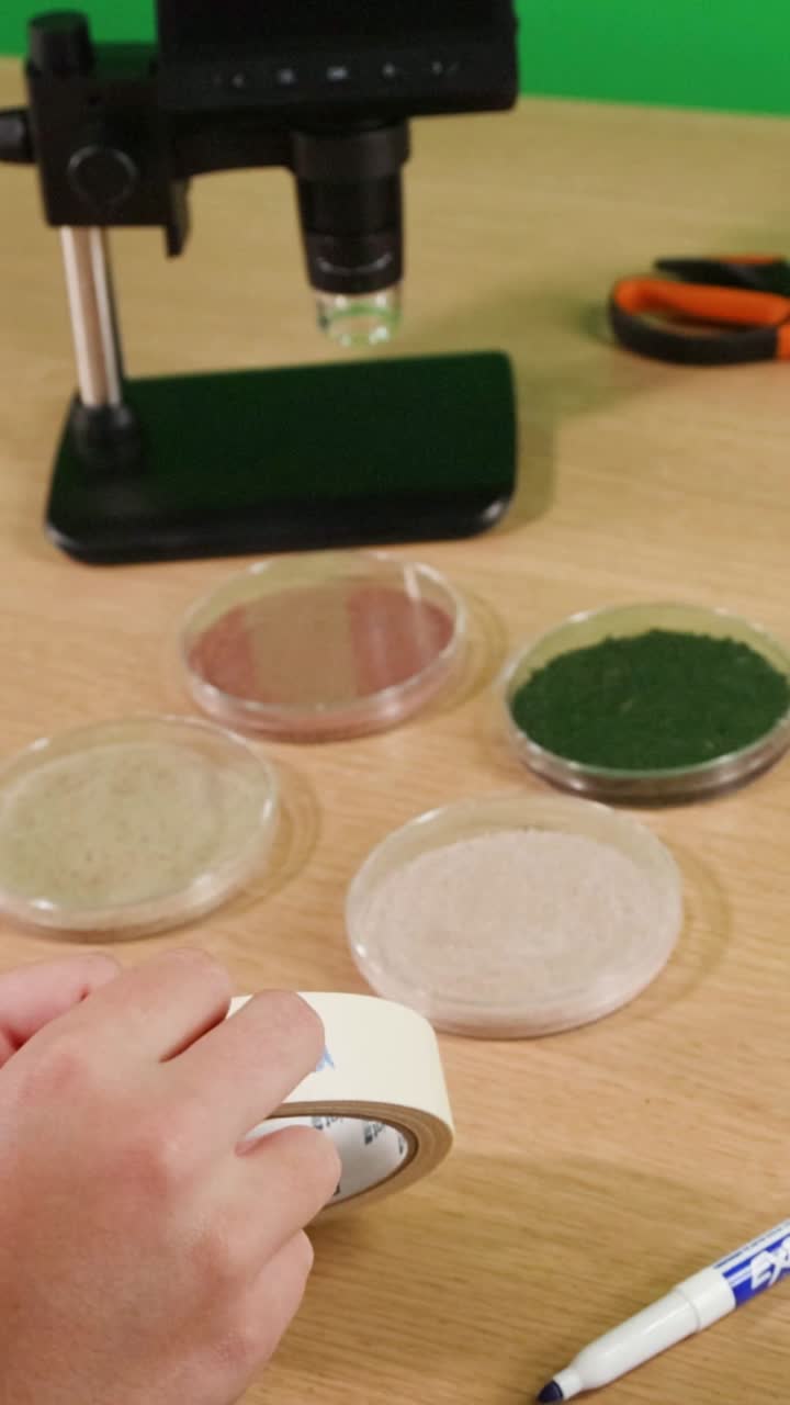 Examining and labeling soil samples in petri dishes