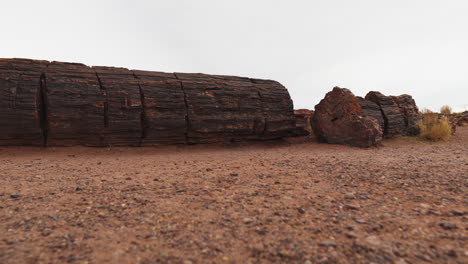 tronco de madera gigante con tierra árida en el parque nacional del bosque petrificado en arizona, tiro panorámico