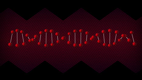 animación de la cadena roja de adn girando con líneas rojas