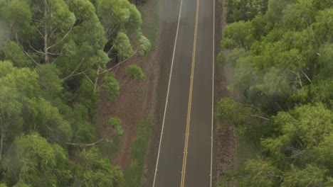 4k decente aéreo a través de la carretera del bosque en hawai