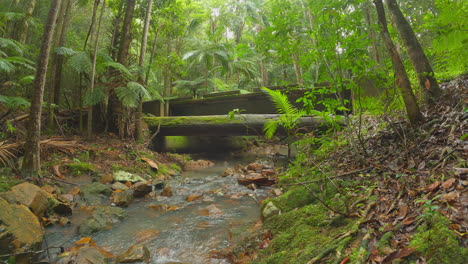 Viejo-Puente-De-Madera,-Con-Un-Arroyo-Debajo