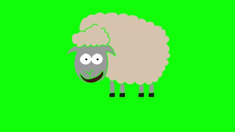 sheep hand drawn green screen. floating loop animation