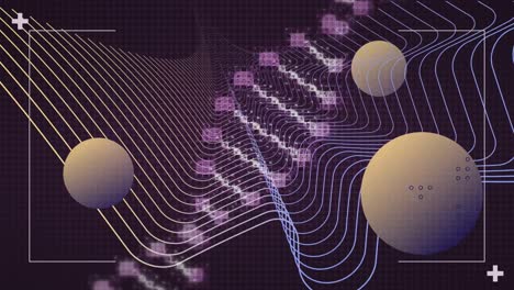 Animation-of-digital-dna-strand-rotating-over-orange-and-blue-curves-and-yellow-spheres,-on-black