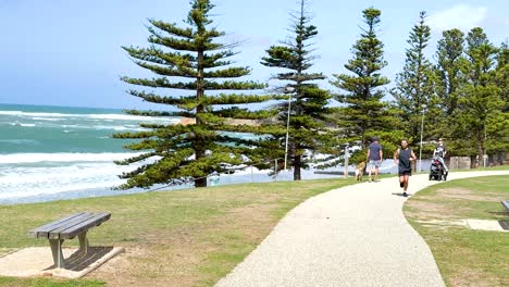 joggers run along a scenic coastal path in torquay, australia, under bright daylight with ocean views and lush greenery