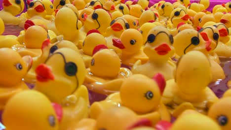 rubber duckies float in a pool at a carnival