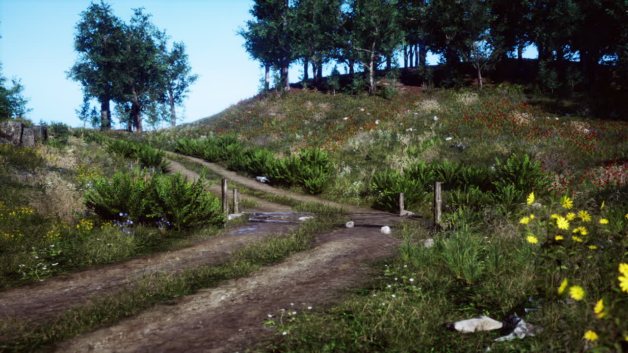 camino de tierra que conduce a través de un bosque