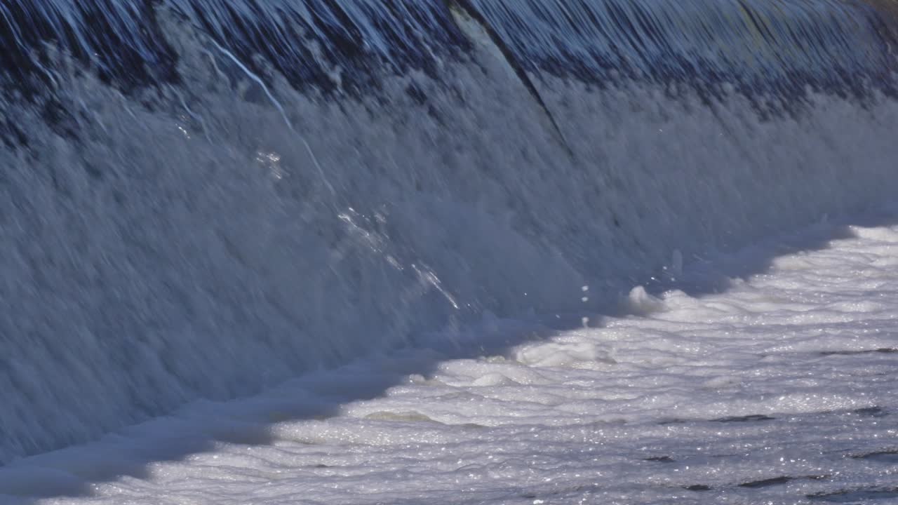 Carp Cypriniformes Leaping Upsteam River Weir. 4K 60fps Footage