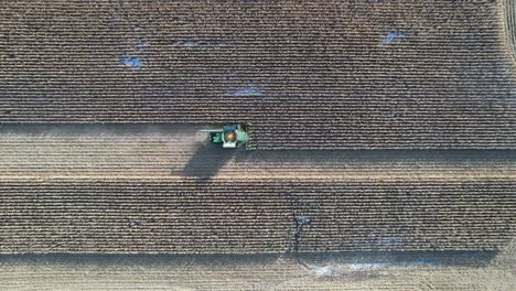 Im-November-Hackt-Und-Sammelt-Ein-Landwirtschaftsbetrieb-In-Ne-Wisconsin-Mais-Für-Silage