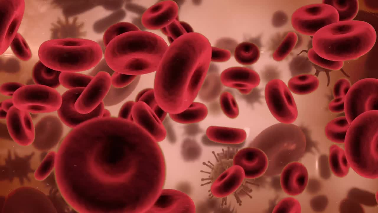 las células rojas de la sangre