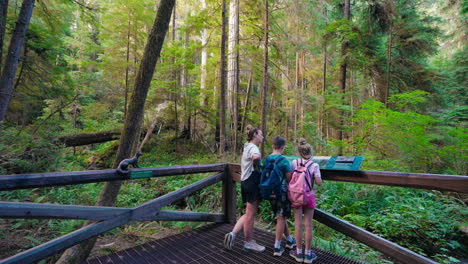 Exploring redwood trails a mother and kids enjoy time together