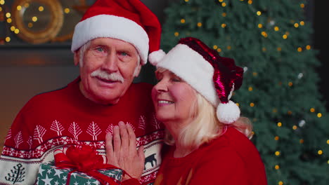 Senior-family-couple-grandmother-grandmother-kissing,-looking-at-camera,-celebrating-Christmas-home