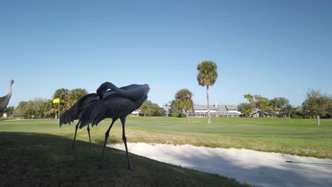 Florida-Sandhill-Crane-Acicalarse-Las-Plumas-De-La-Cola-En-El-Campo-De-Golf