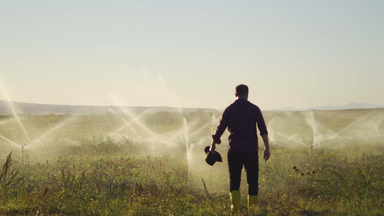 Tired Farmer Takes Off Hat And Raises Hands Up During Irrigation Of Plantation.