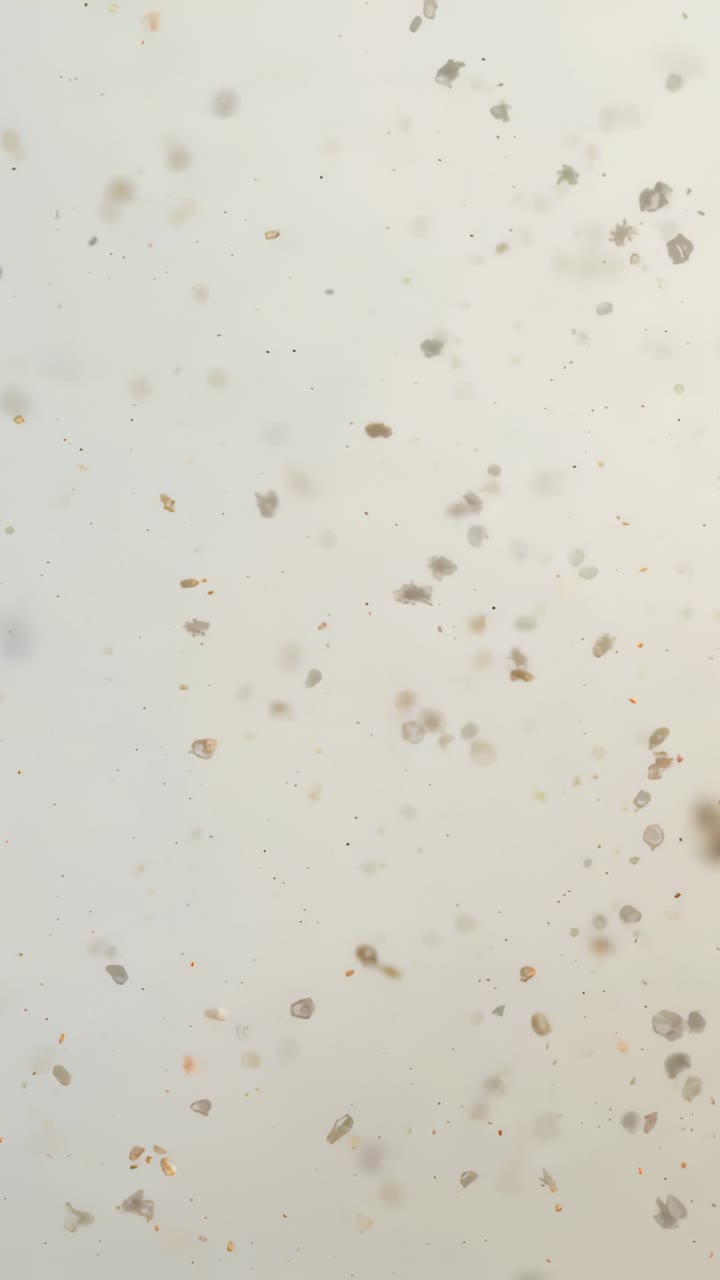 Vertical video: Shifting dust motes following focus shift on pale panel, blurred dark mote forming