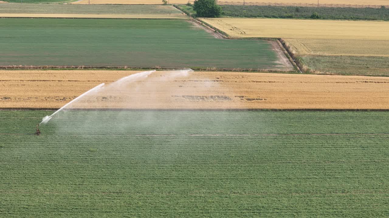 Agricultural irrigation system spraying water across verdant soybean field, showcasing crop productivity with rain gun sprinklers irrigating farmland landscape in Po Valley, slow motion shot