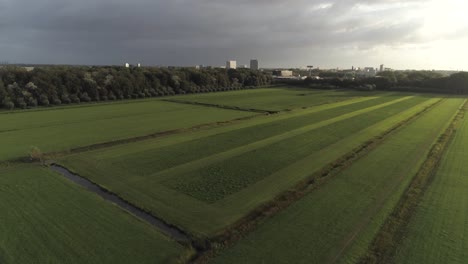hermosa antena del campo holandés durante la puesta de sol con verdes llanuras y edificios en el fondo