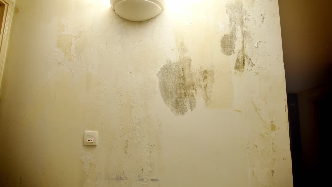 Damaged Wall with Mold and Water Damage