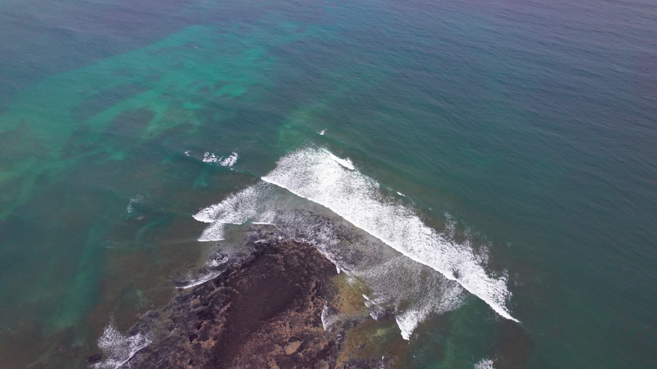 Scenic Tropical Beach with Palm Trees and Lava Rocks in São Tomé and Principe