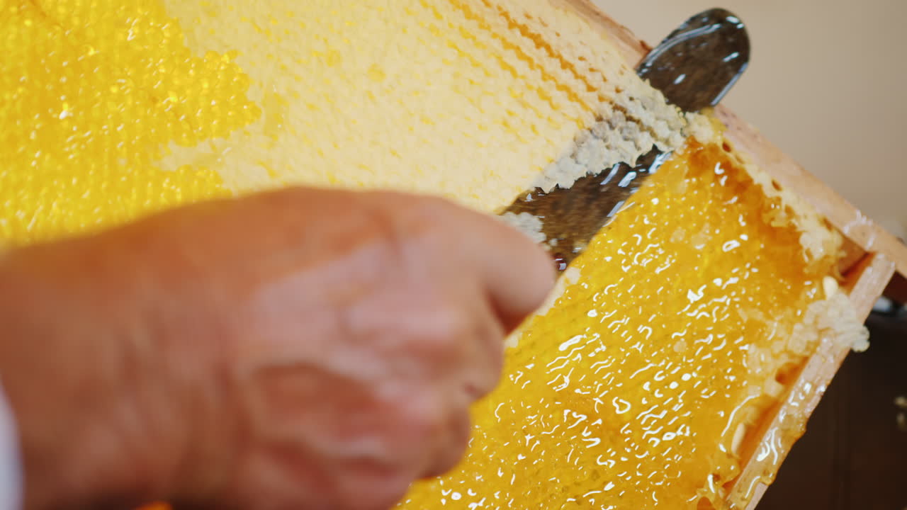 양봉가는 필드 4k 10비트 비디오의 깊이가 얕은 칼 비디오로 벌집을 엽니다.