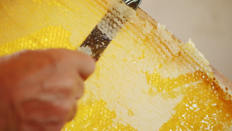 the beekeeper opens the honeycomb with a knife video with shallow depth of field 4k 10 bit video