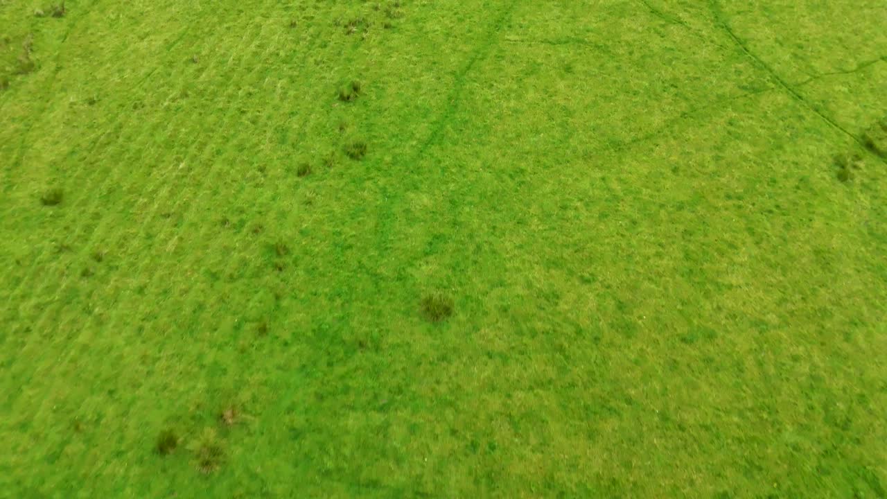 Drone camera smoothly ascends from a dark wetland pond to reveal lush green grassland and scattered shrubs under diffuse daylight, capturing natural Scottish landscape