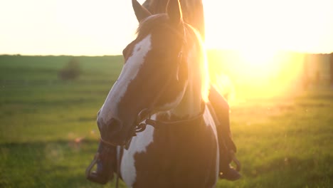 Pferd-Mit-Einer-Frau-Oben-Und-Dem-Sonnenuntergang-Dahinter