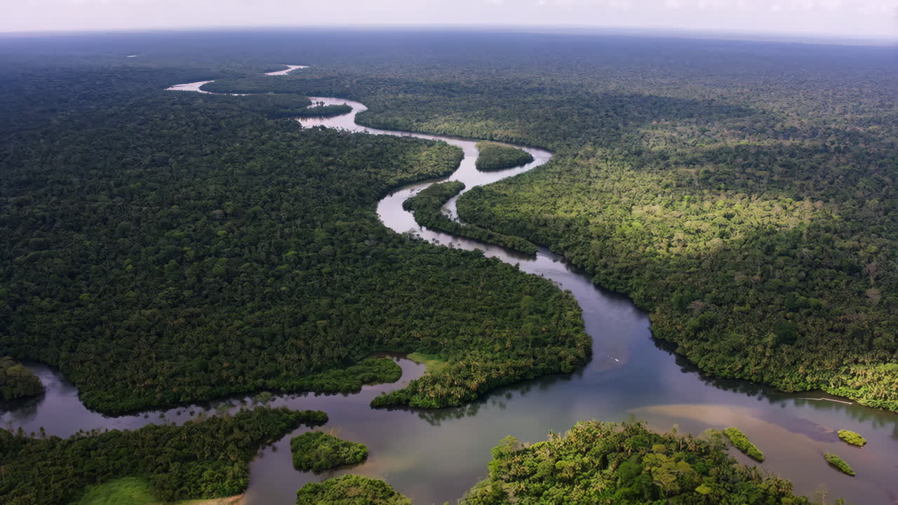 Aerial View of Amazon Rainforest and River