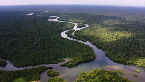 aerial view of amazon rainforest and river