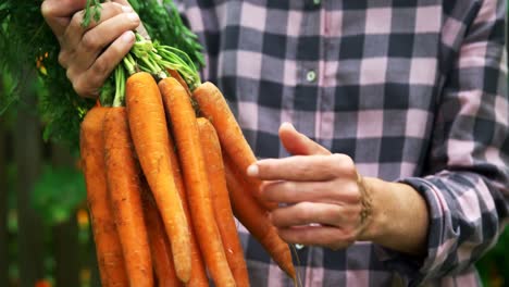 mature woman holding carrot vegetable 4k