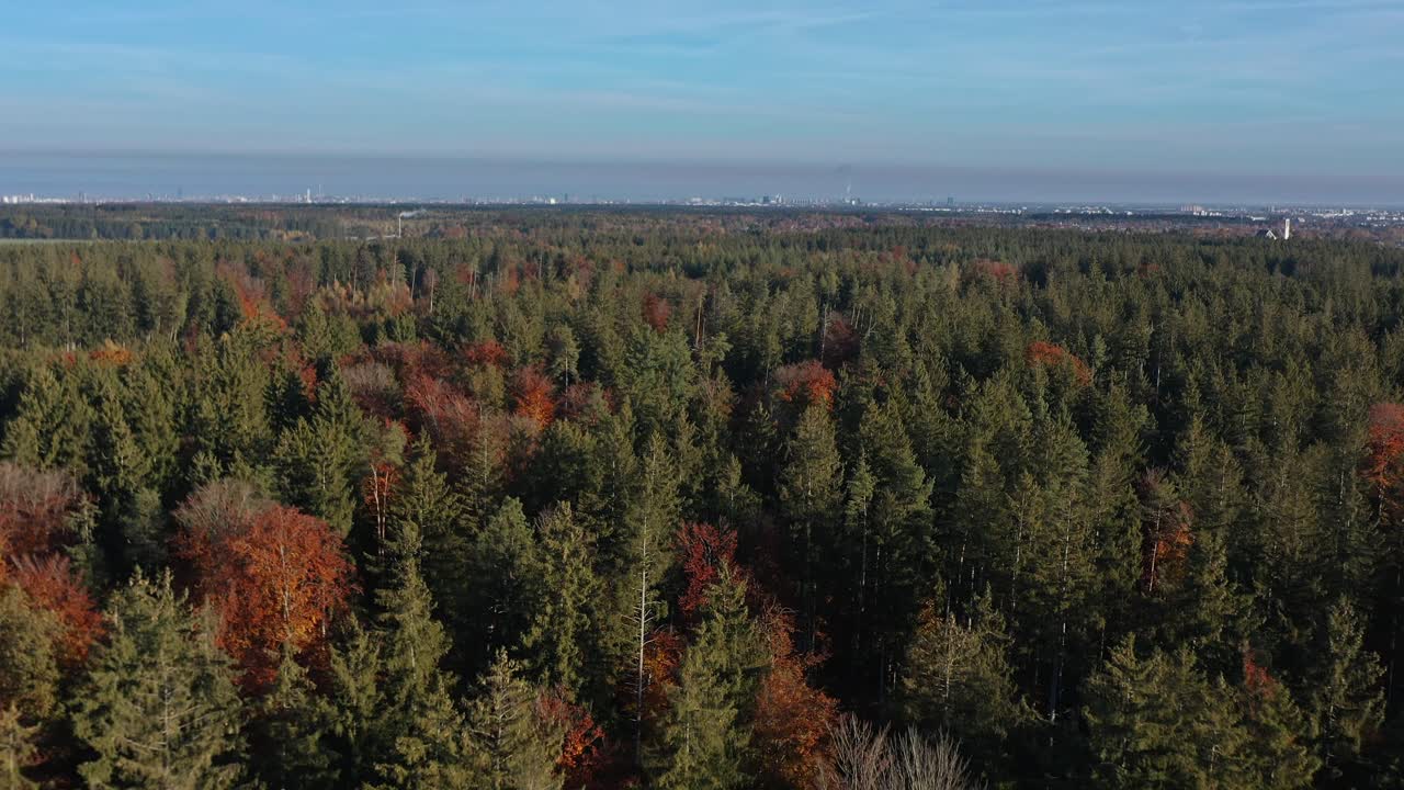 vista aérea del horizonte de munich detrás de un bosque de coníferas en la temporada otoñal