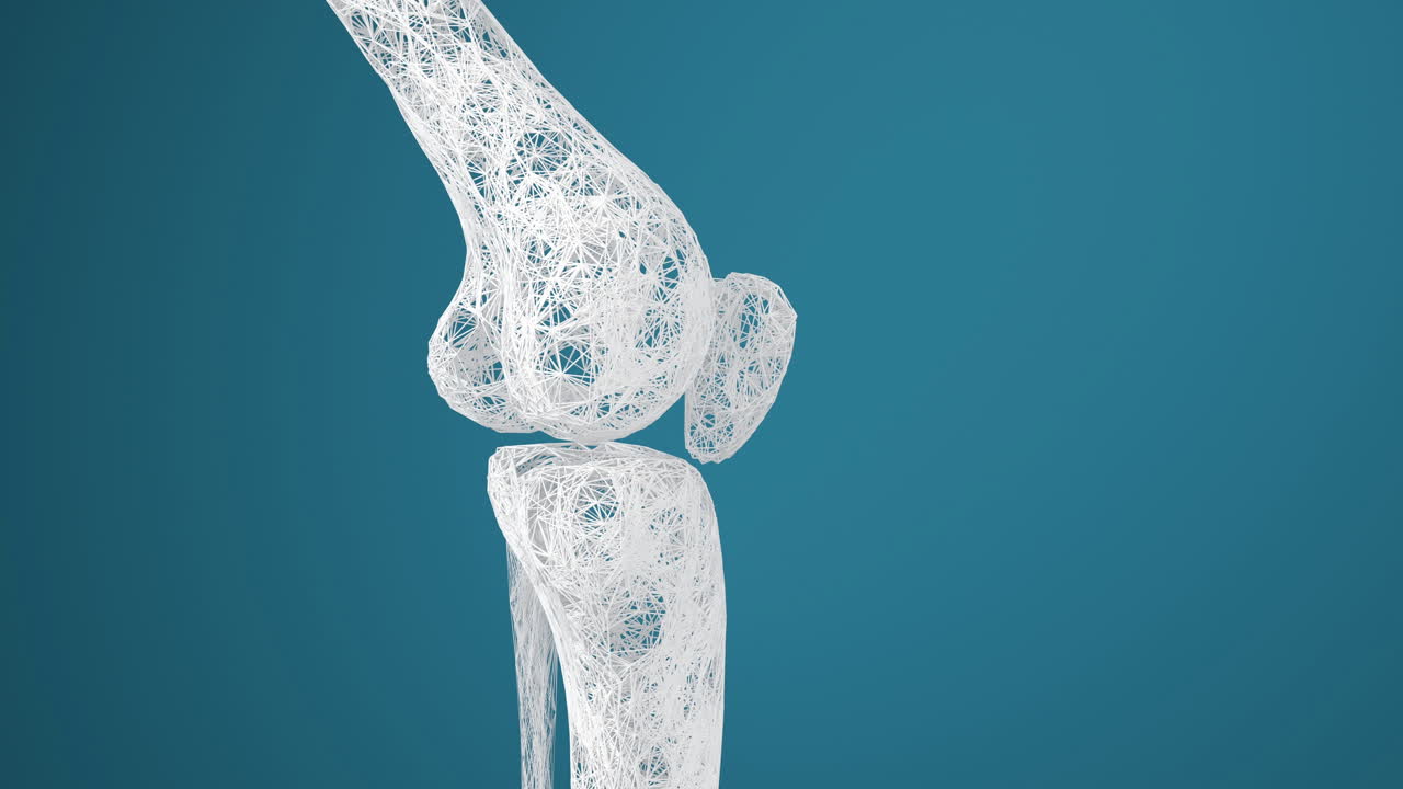 다리 와 무, 3d 렌더링