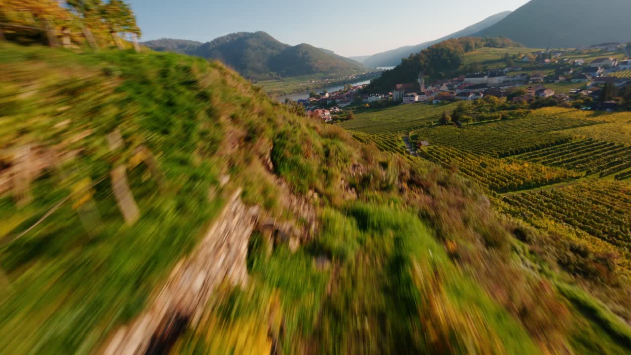 disparo dinámico de fpv que se eleva sobre viñedos junto a paredes de piedra pictóricas muy cerca, revelando una hermosa vista de la puesta de sol de spitz en el valle de wachau
