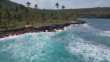 tropical playa madama beach in dominican republic with palm trees and lush vegetation