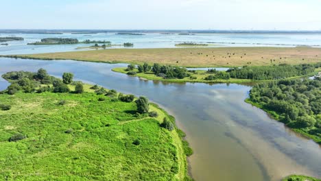 Naturschutzgebiet-In-Der-Provinz-Zeeland,-Niederlande.-Filmischer-Drohnenflug