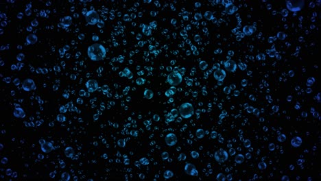 bubbles on a black and green background