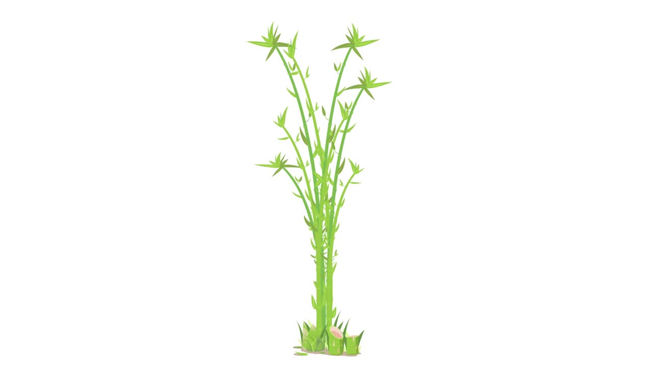 бамбуковая изолированная древесная китайская циклная анимация